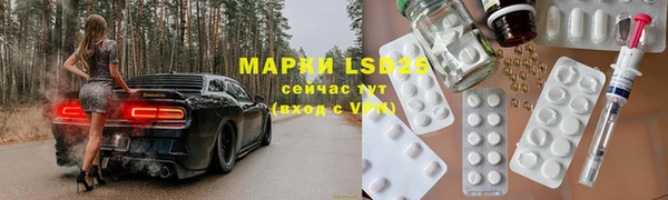 прущие грибы Бородино