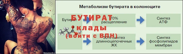 прущие грибы Бородино