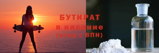 прущие грибы Бородино