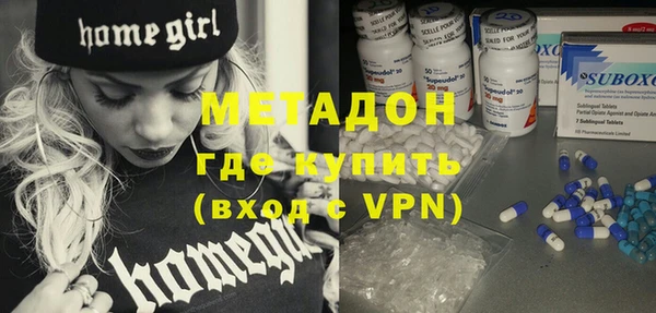 прущие грибы Бородино