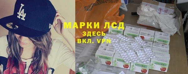 прущие грибы Бородино